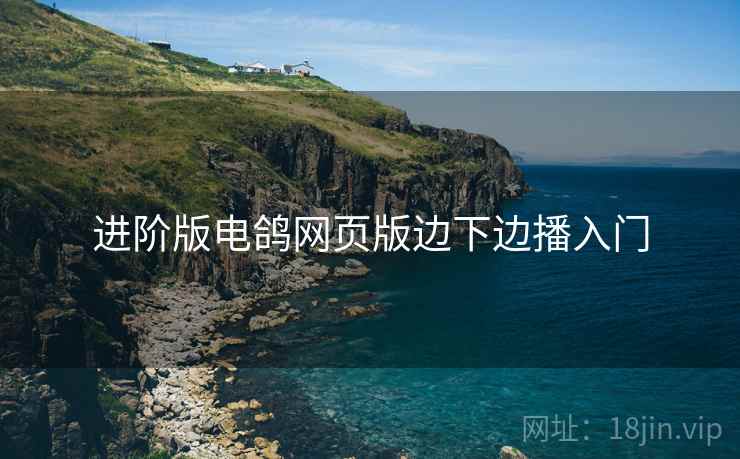 进阶版电鸽网页版边下边播入门