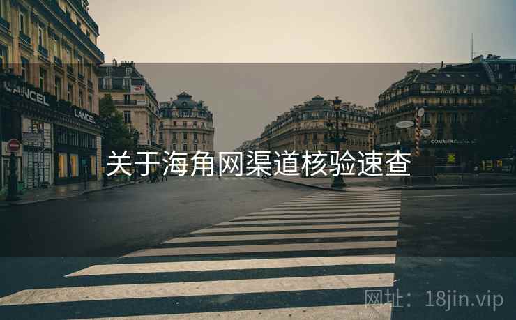 关于海角网渠道核验速查