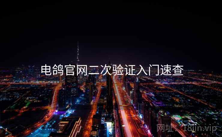 电鸽官网二次验证入门速查