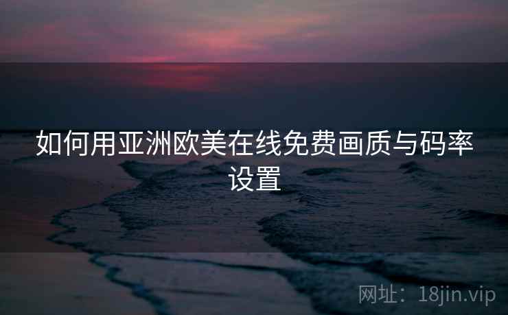 如何用亚洲欧美在线免费画质与码率设置