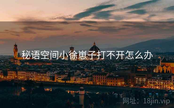 秘语空间小徐崽子打不开怎么办