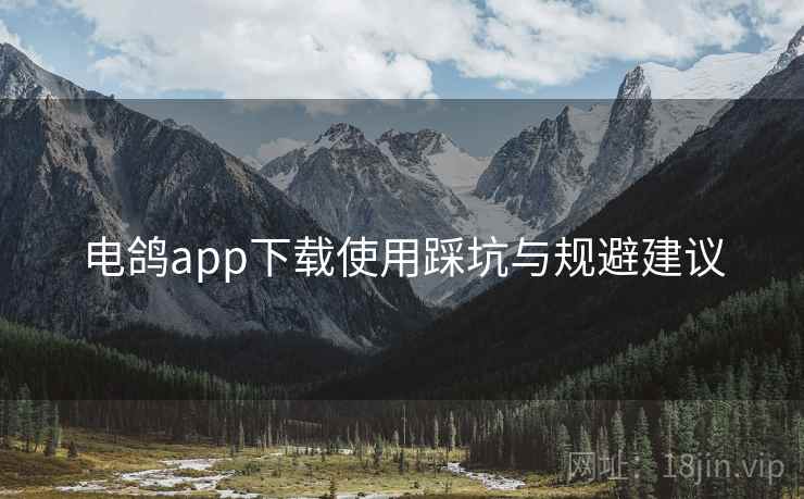 电鸽app下载使用踩坑与规避建议