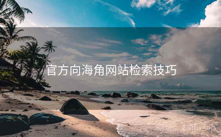 官方向海角网站检索技巧