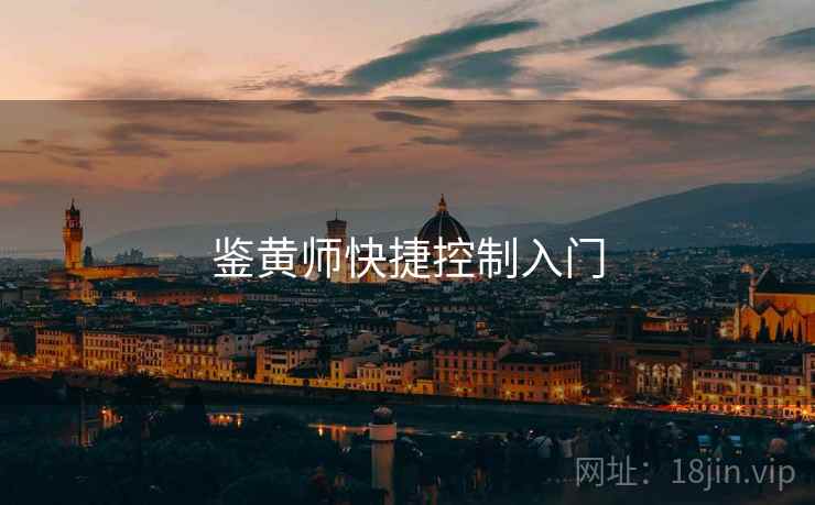 鉴黄师快捷控制入门