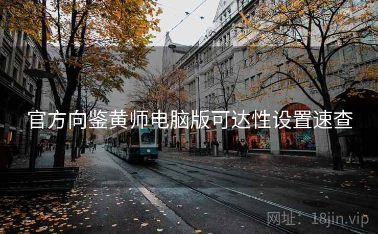 官方向鉴黄师电脑版可达性设置速查